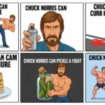 chuck norris puns
