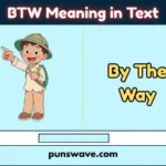 BTW Meaning in Text