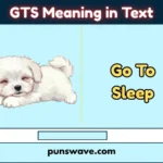 GTS Meaning in Text
