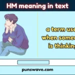 HM meaning in text