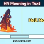 HN Meaning in Text