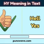 HY Meaning in Text