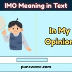 IMO Meaning in Text