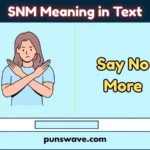 SNM Meaning in Text