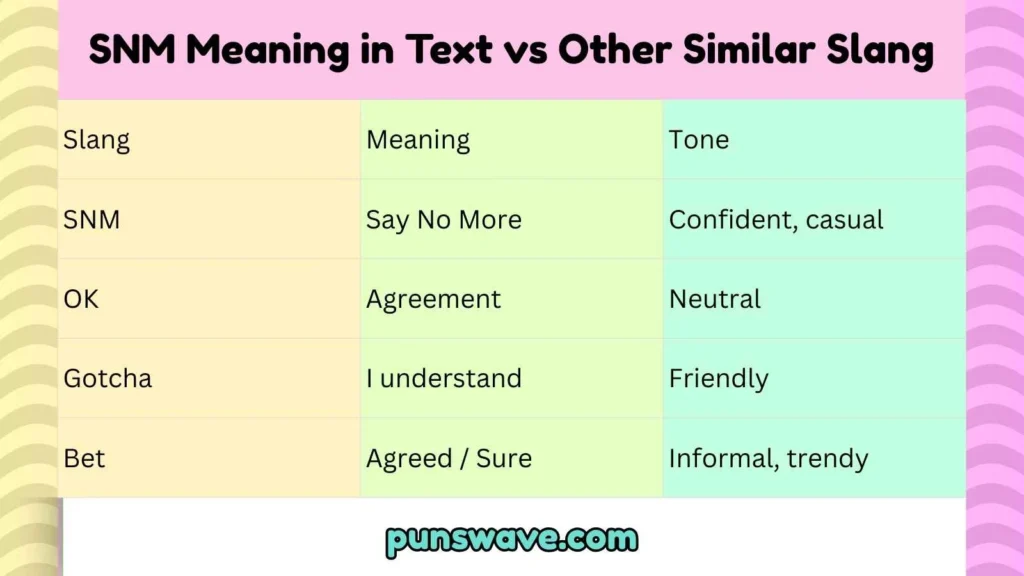 SNM Meaning in Text vs Other Similar Slang