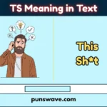 TS Meaning in Text
