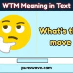 WTM Meaning in Text