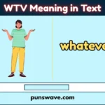 WTV Meaning in Text