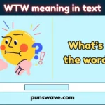 WTW meaning in text