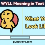 WYLL Meaning in Text